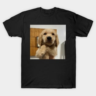 Doggo T-Shirt